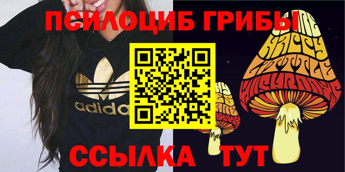 Ликино-Дулёво  Галлюциногенные грибы ЛСД  Вход с VPN 