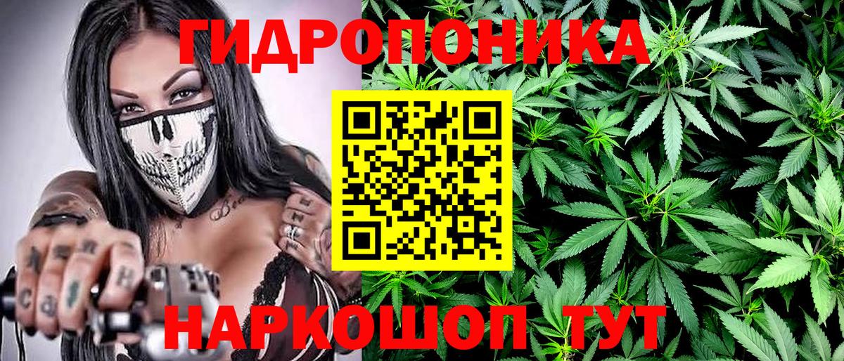 Бошки марихуана планчик  Канабис SATIVA & INDICA  Конопля сатива  Ликино-Дулёво  Вход с VPN 